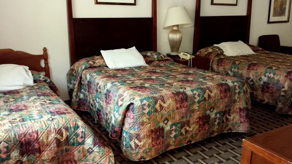 Executive Inn & Suites レイク・ビュー 部屋 写真